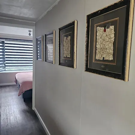 Houten Nabij Beekse Bergen Chalé